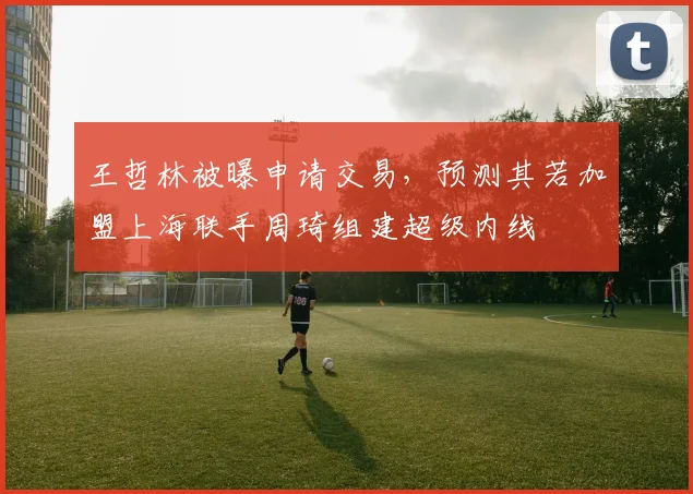 王哲林被曝申请交易，预测其若加盟上海联手周琦组建超级内线
